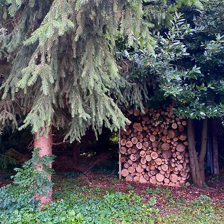 Propriete, Lac, Plages Privees Idf 77 Proche Paris La Tombe